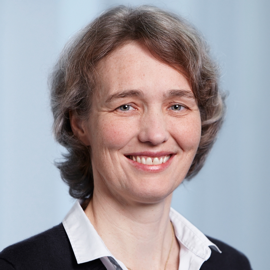 Prof. S. Hellweg